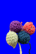 Cat toys